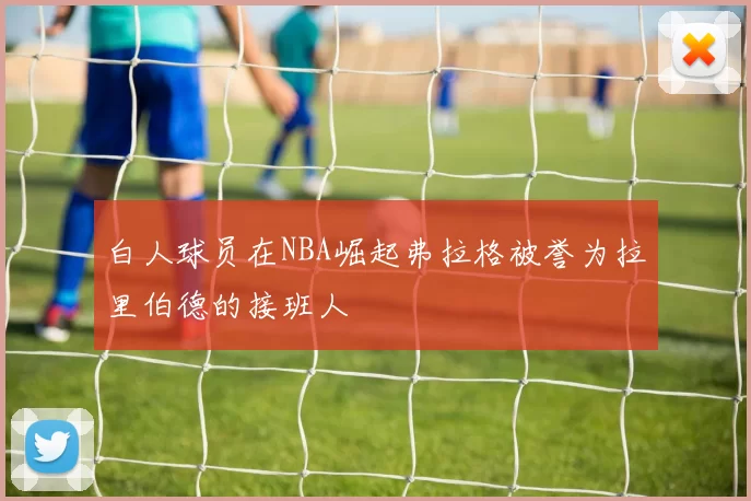 白人球员在NBA崛起弗拉格被誉为拉里伯德的接班人